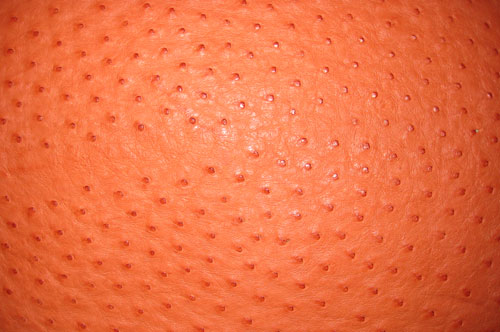 Tangerine Full Quill Ostrich Skin
