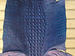 Grade #1 And Hand Dyed Harley Davidson Pacific Blue Pearl Hornback American Alligator Hide. 48cm. Width